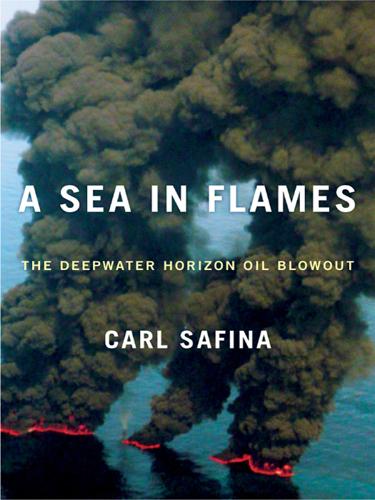 Books: Exxon Valdez